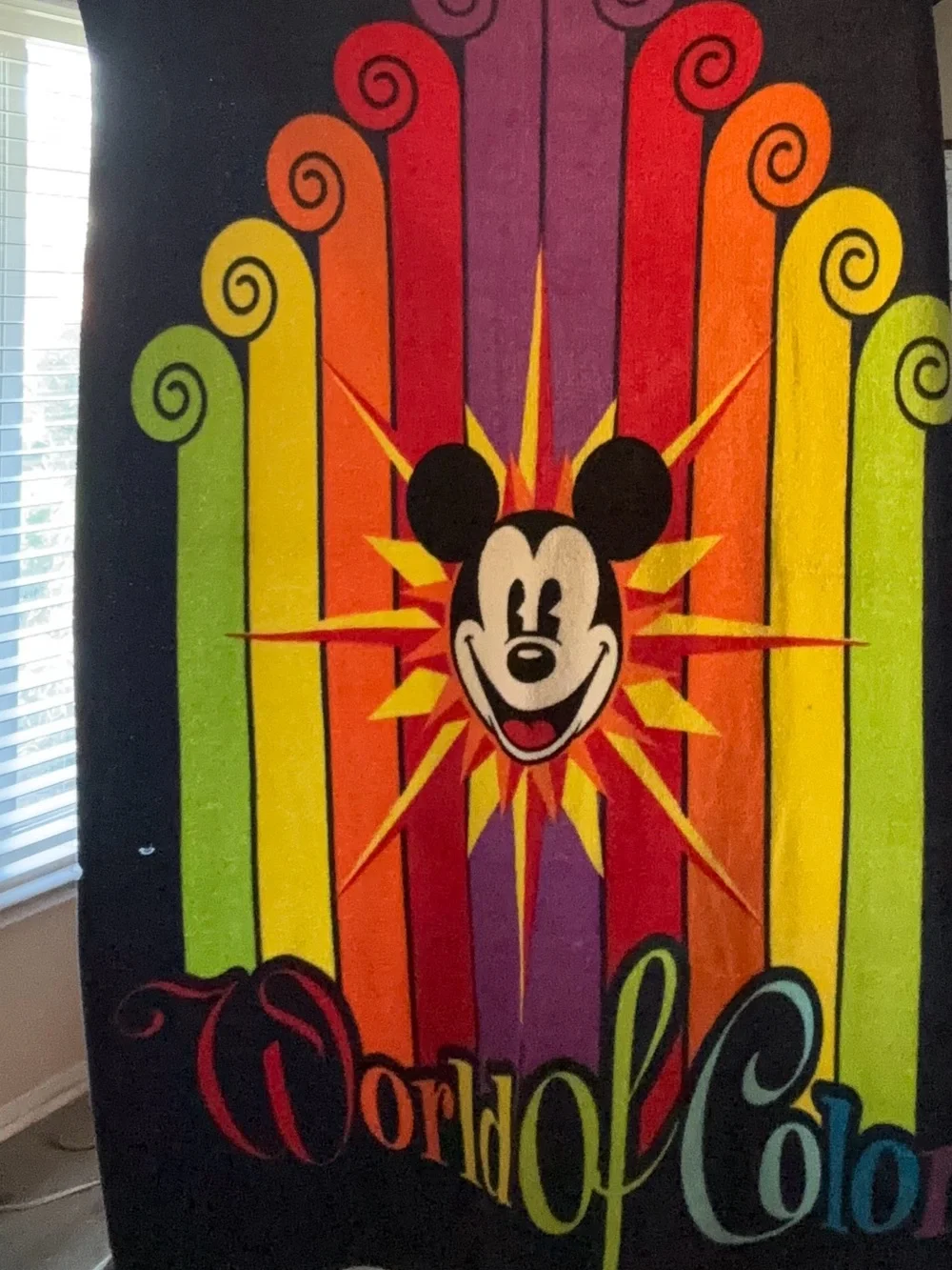 Disney 🌈 Mickey Mouse 'World of Color'” Disney, Disnyland blanket 44 x 60
